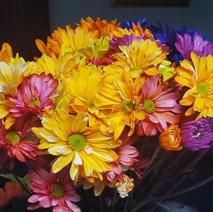 Meet your Posher, Ann